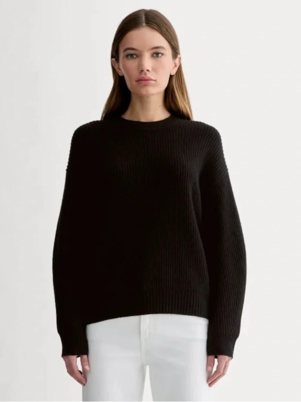 Everlane Cocoon Crew Sweater in Wool Cashmere NWT Size XL Black Cozy Minimalist